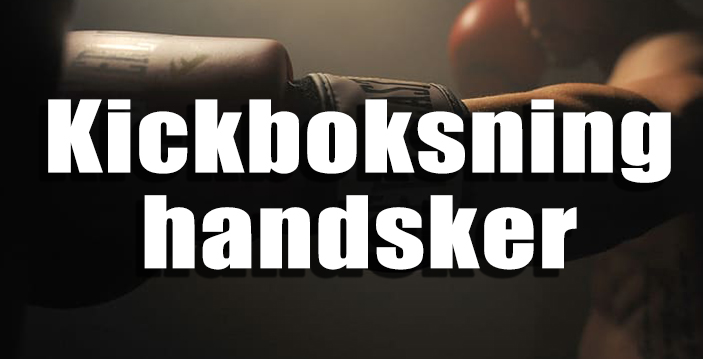 Kickboxing handsker