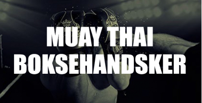 Thaiboksning handsker