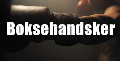 Kickboxing handsker