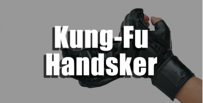 Kungfu/WT/Krav Maga Handsker