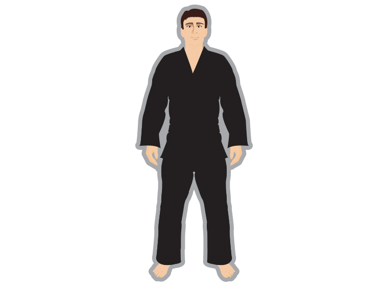 Kung Fu/ Krav Maga/ WT.